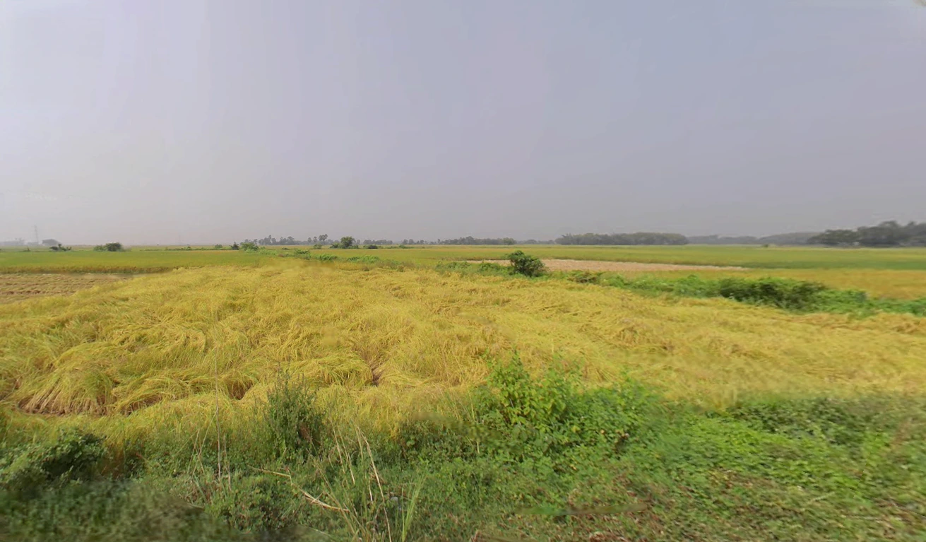 Singur, West Bengal 712409, India