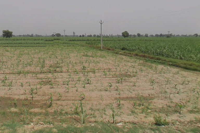 Hastinapur, Uttar Pradesh 250404, India