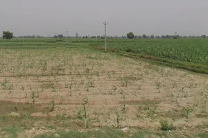 Hastinapur, Uttar Pradesh 250404, India preview 3