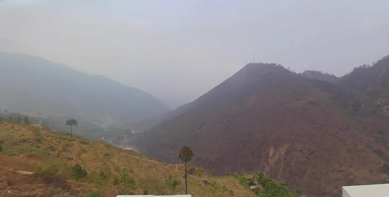 Jalna, Uttarakhand 263625, India preview 2