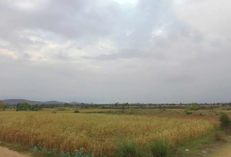 Thons, Rajasthan 301405, India preview 2