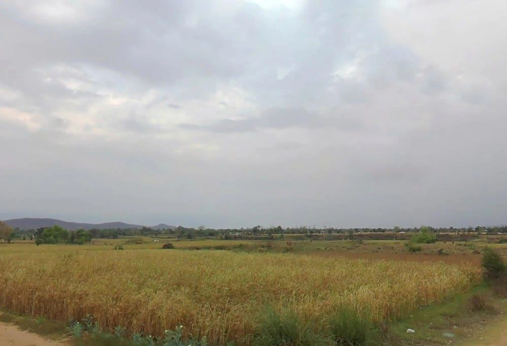 Thons, Rajasthan 301405, India