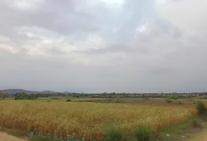 Thons, Rajasthan 301405, India preview 2