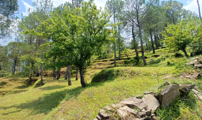 Dhulkot Mafi, Uttarakhand, India preview 3