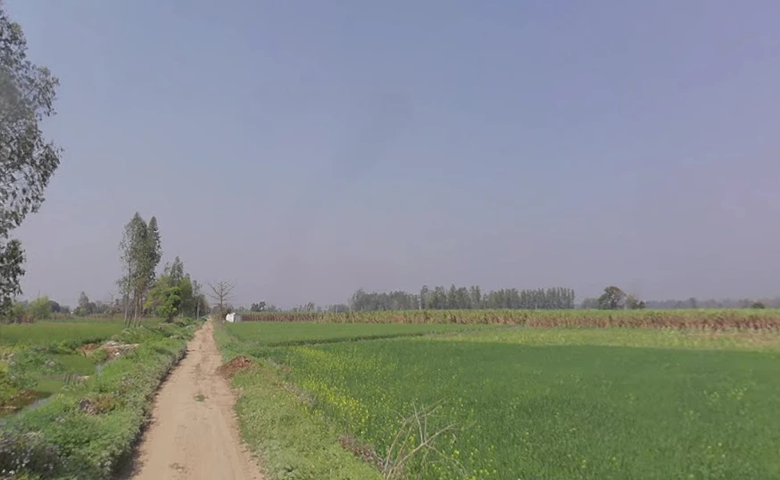 Mawana, Uttar Pradesh, India
