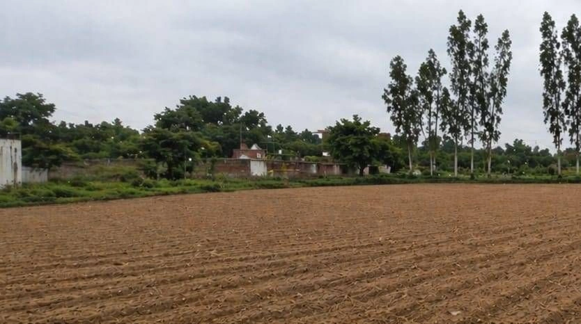 Barhana, Uttar Pradesh, India