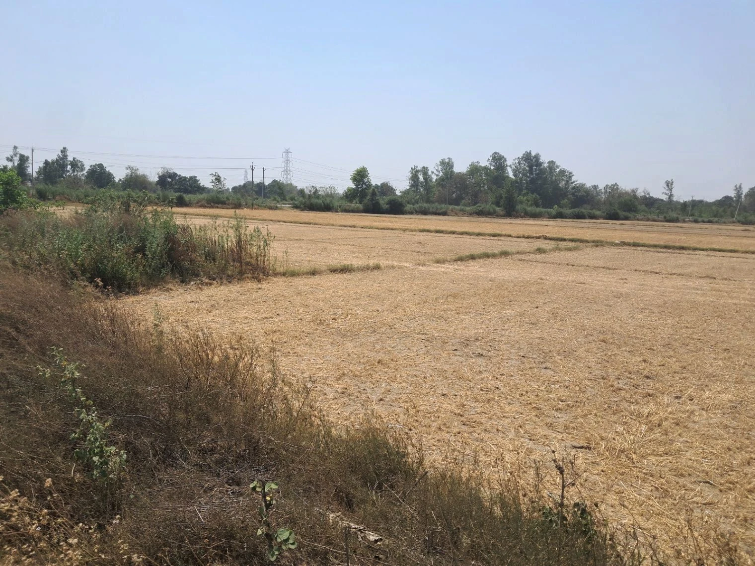 P6RV+J4 Mohtarim Pur Uparhar, Uttar Pradesh, India