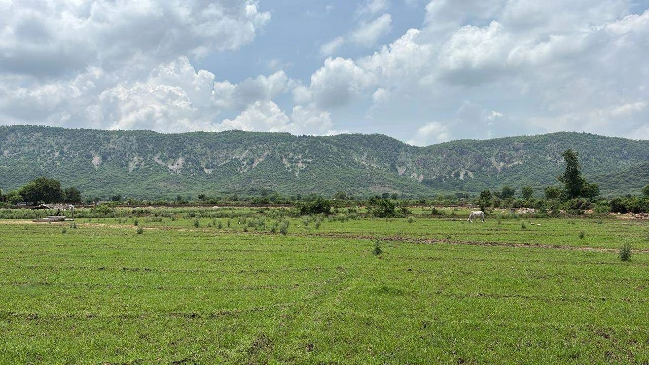 HFWC+W9 Rundh Sundarwas, Rajasthan, India