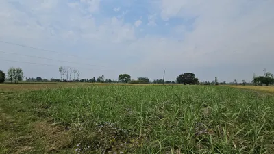 Rampur Gainda, Haryana, India preview 2