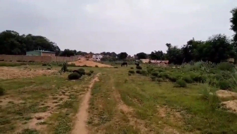 Makhdumpur, Bihar 804422, India