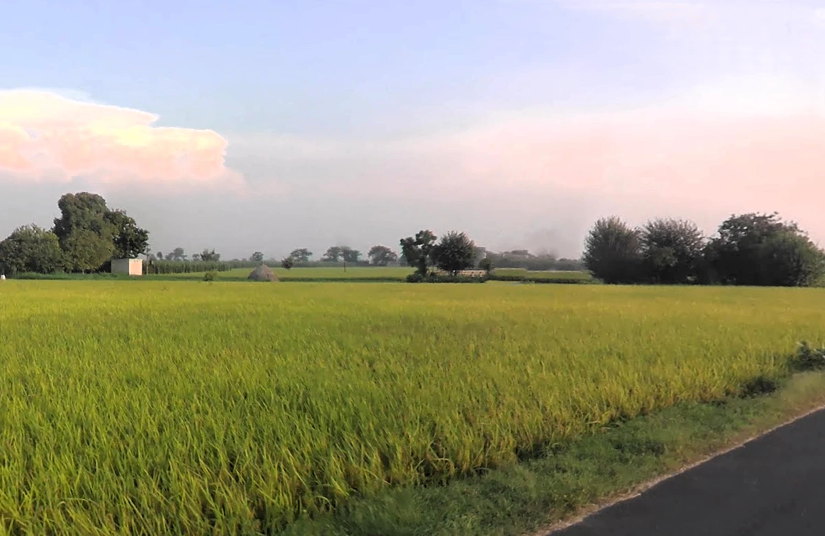 Ladwa, Haryana 136132, India