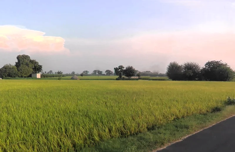 Ladwa, Haryana 136132, India preview 3