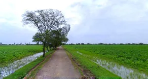 Khatoo, Rajasthan 332602, India preview 2