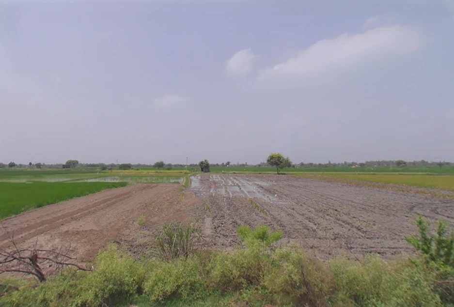 Rahra, Uttar Pradesh 244255, India