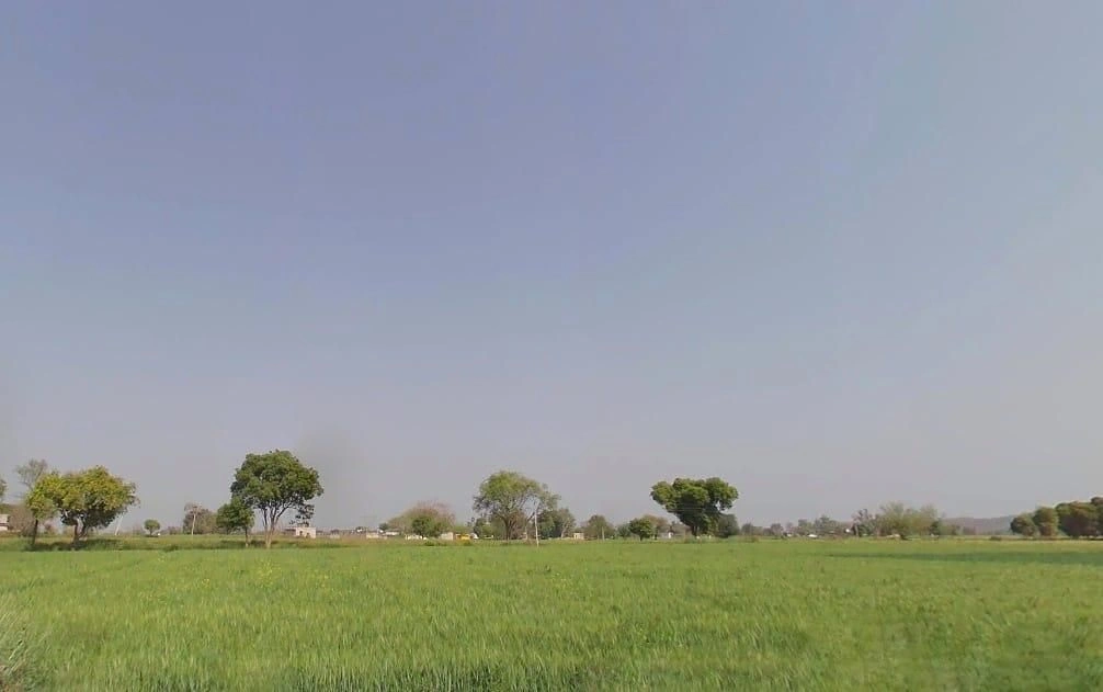 Bamboli, Rajasthan, India