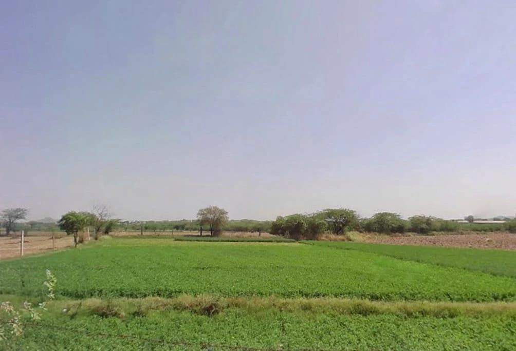 Makreda, Rajasthan 305901, India