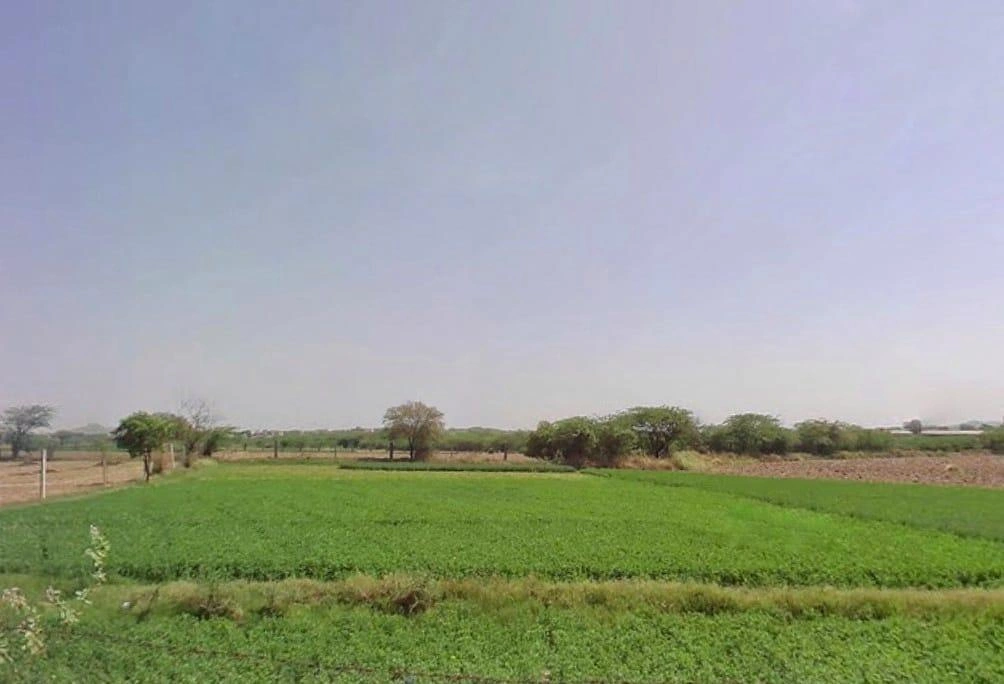 Makreda, Rajasthan 305901, India