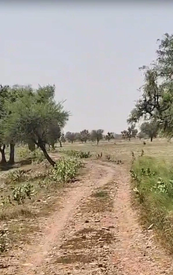 Kathoomar, Rajasthan 321605, India