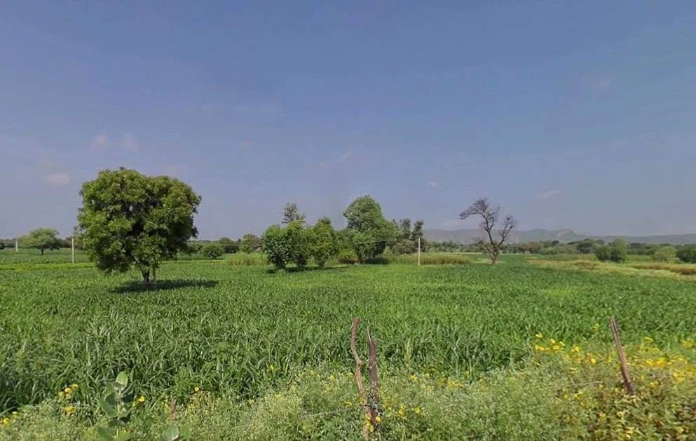 XH5C+JG Ked, Rajasthan, India