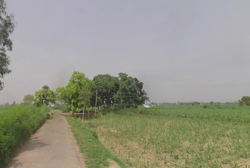 Mawana, Uttar Pradesh, India