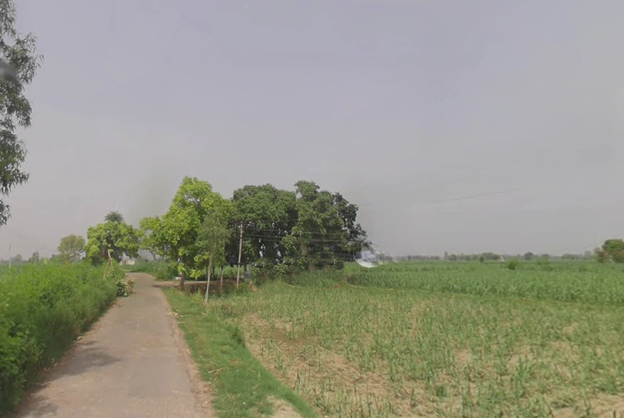 Mawana, Uttar Pradesh, India
