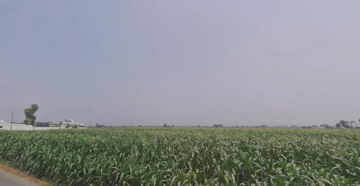 Vandhiya, Gujarat 370150, India