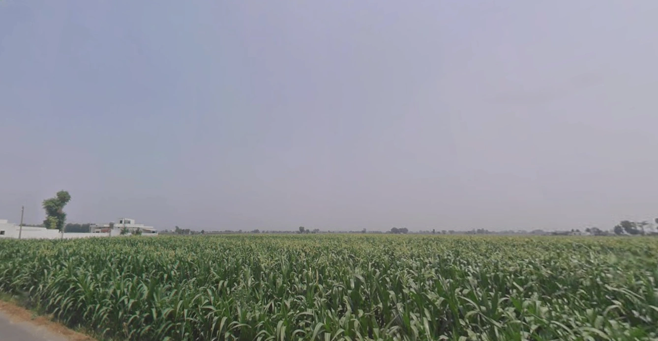 Vandhiya, Gujarat 370150, India