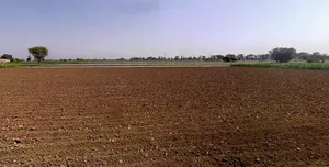 Khanpur, Punjab 141206, India preview 2