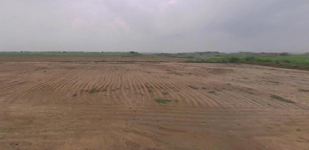 Barnagar, Madhya Pradesh 456771, India