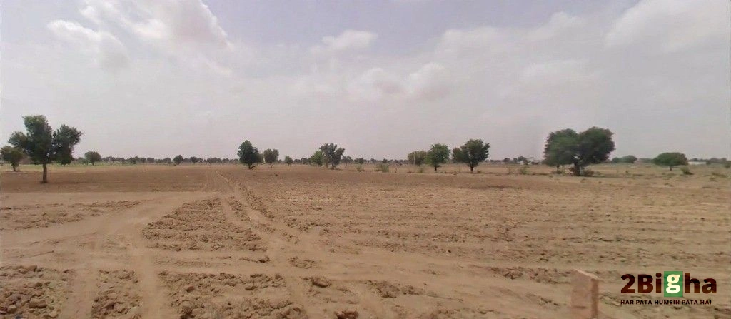 Bhanawatawala, Rajasthan 334808, India