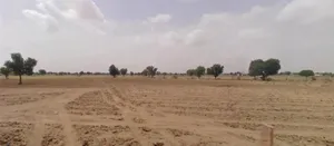 Bhanawatawala, Rajasthan 334808, India preview 2