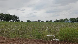 2J5F+684, Hipperga S.Nelogi, Karnataka 585310, India preview 3