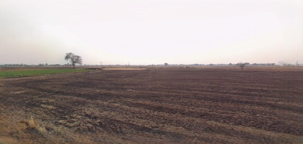 Sri Ganganagar, Rajasthan, India