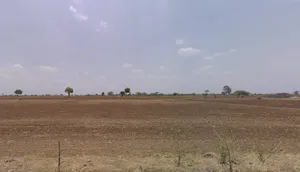 Falakata, West Bengal 735211, India preview 3