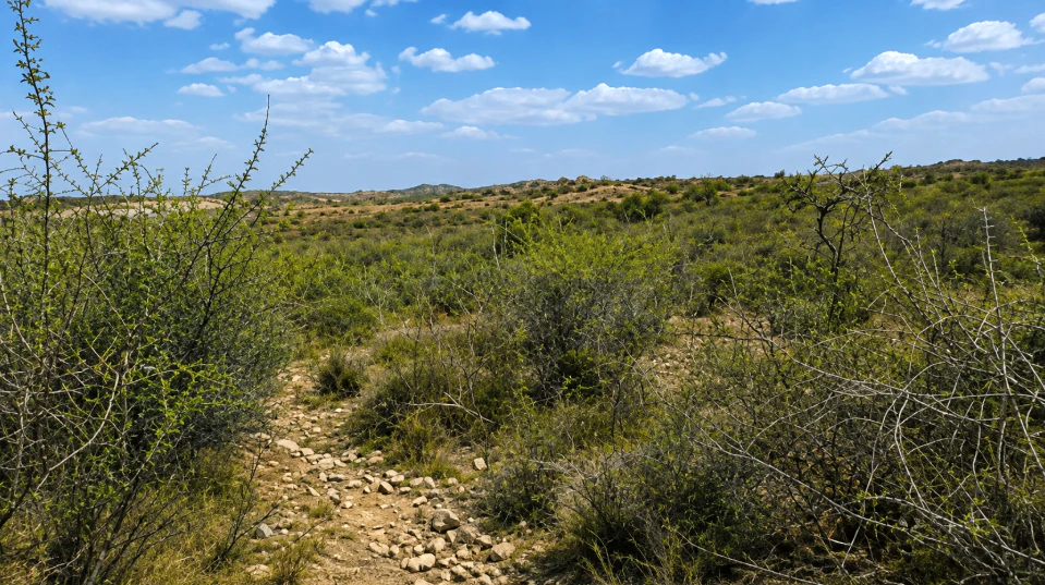 VP92+VQ Semal, Rajsamand, Rajasthan, India