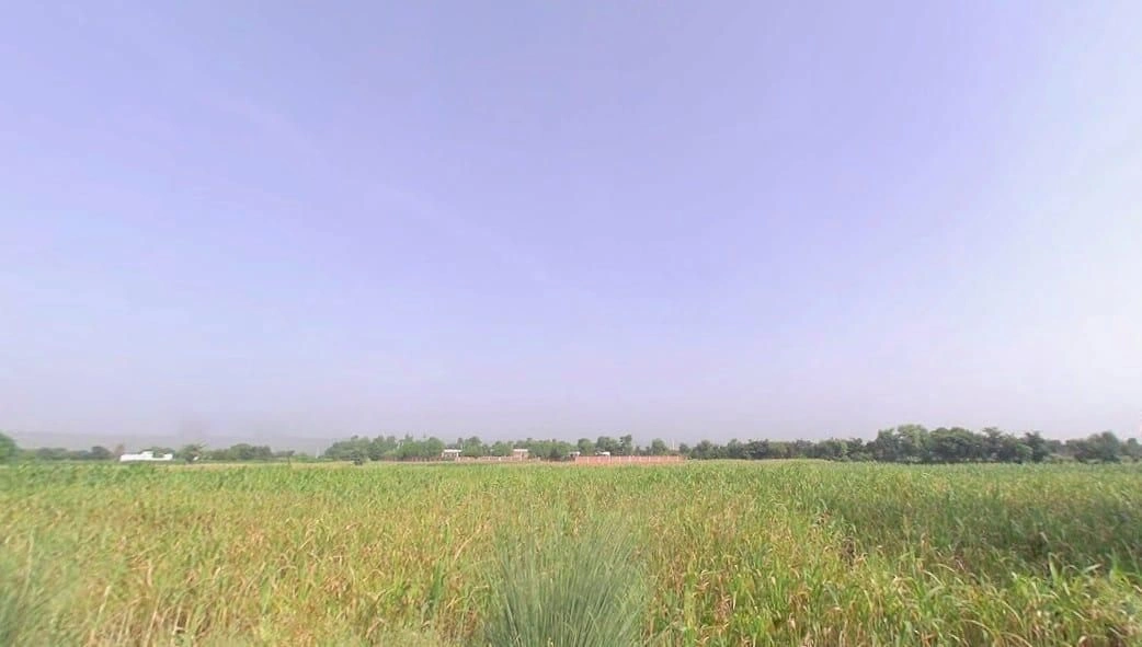 Sahsan, Rajasthan 321023, India