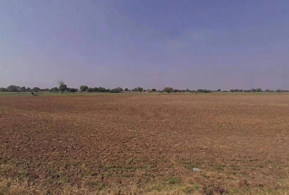 Dholpuriya, Rajasthan 305801, India