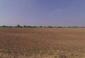 Dholpuriya, Rajasthan 305801, India preview 3