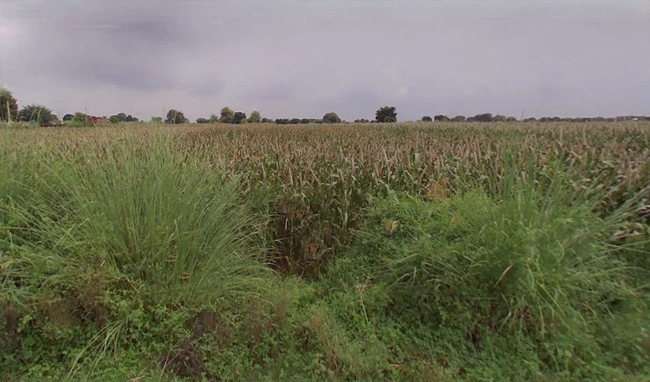 4PCP+QV4, Kiraoli, Korai, Uttar Pradesh 283110, India