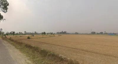 Dhanaura, Uttar Pradesh 244231, India preview 2