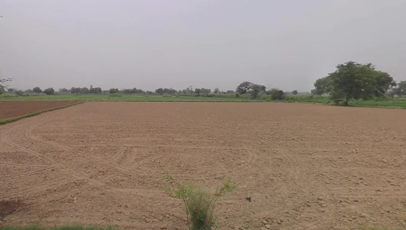 Gangajalghati, West Bengal 722133, India preview 3