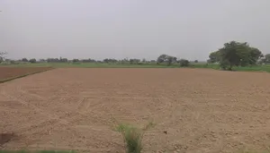 Gangajalghati, West Bengal 722133, India preview 3