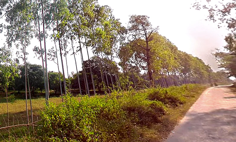 Bhagwanpur, Uttarakhand 247661, India preview 2