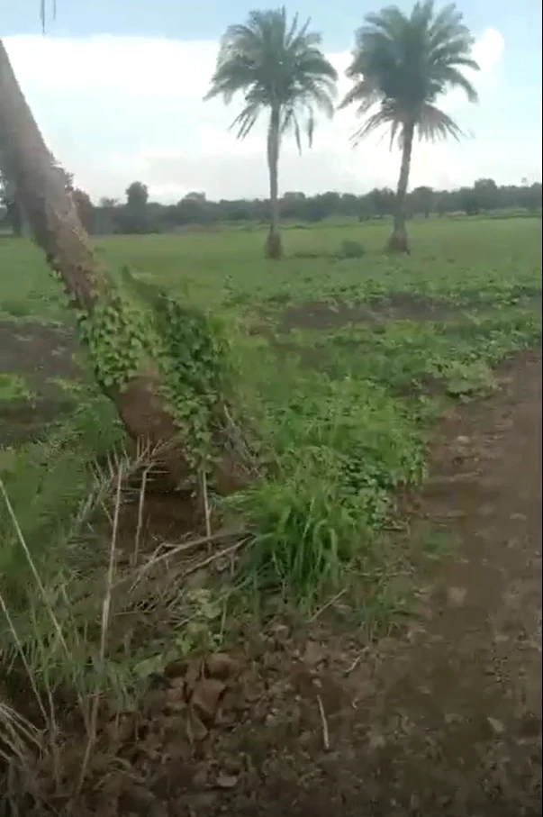 9J56+XP Orchha, Niwari, Madhya Pradesh, India