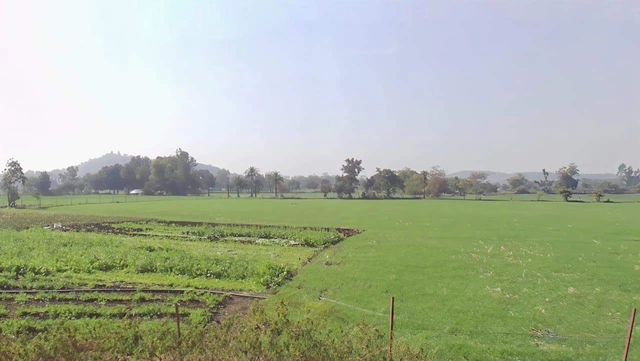 Gol Khedi, Madhya Pradesh 462038, India preview 2