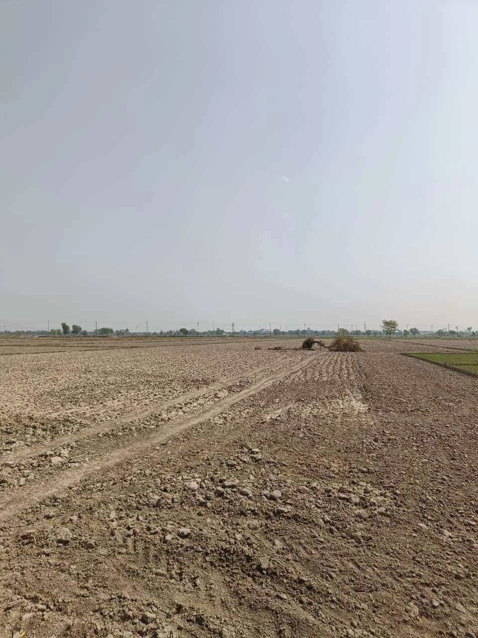 Aou, Rajasthan, India