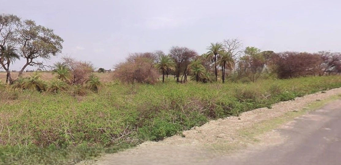 Nemawar, Madhya Pradesh 455339, India preview 3