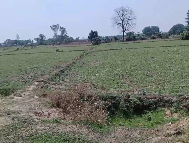 5C8X+9X Semara, Uttar Pradesh, India