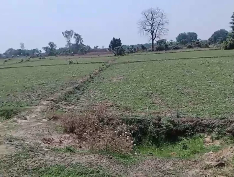 5C8X+9X Semara, Uttar Pradesh, India preview 2