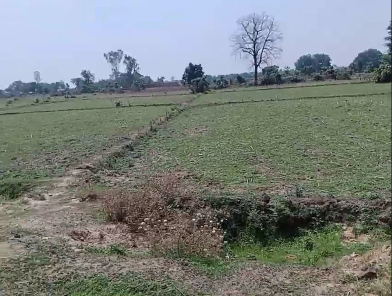 5C8X+9X Semara, Uttar Pradesh, India